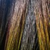 bundle willow