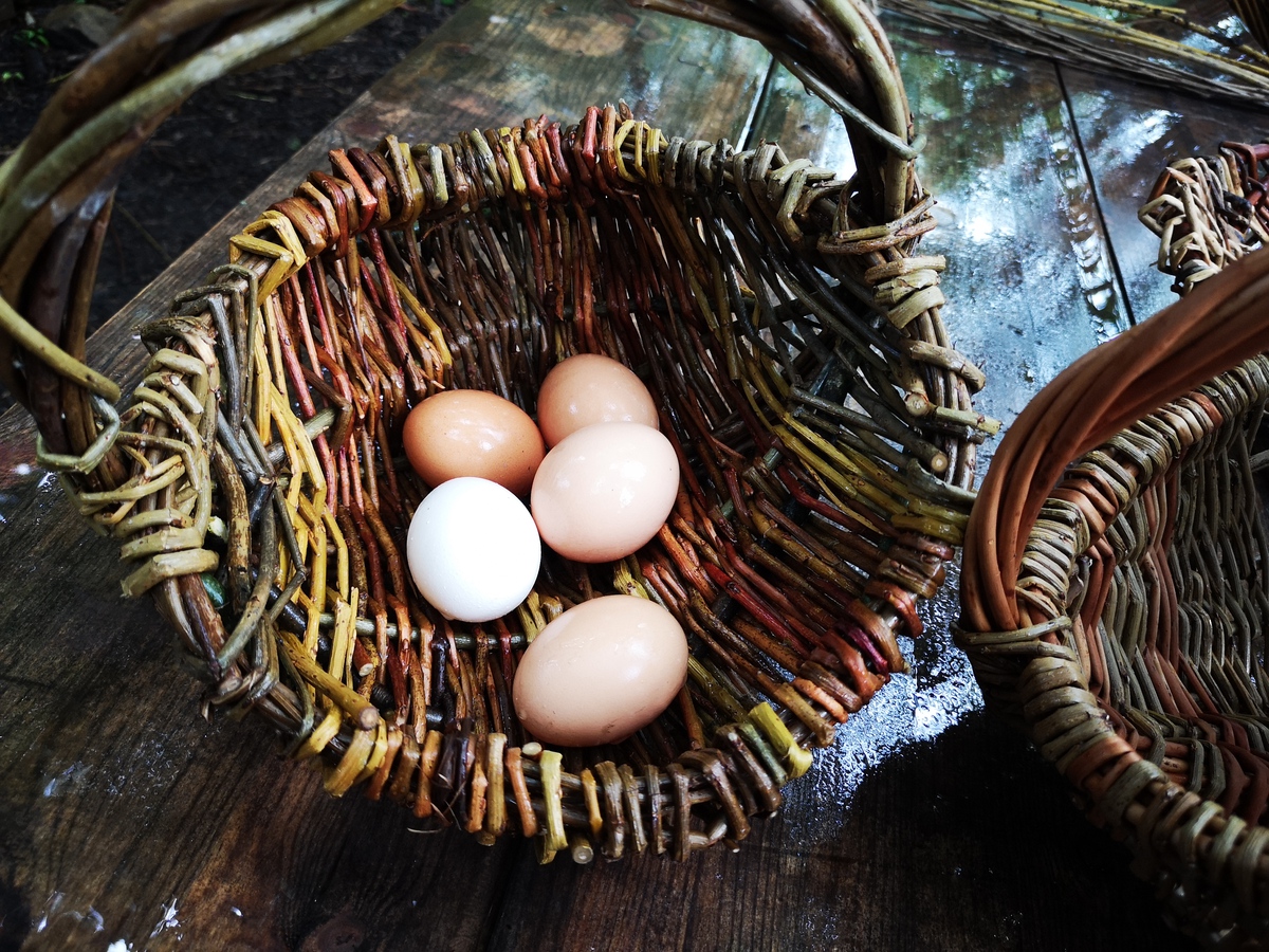 frame_basket_with_eggs