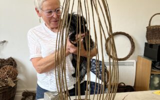 Willow Asymmetrical Basket Course