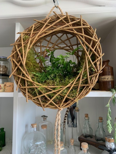 willow hanging basket student lynne marland