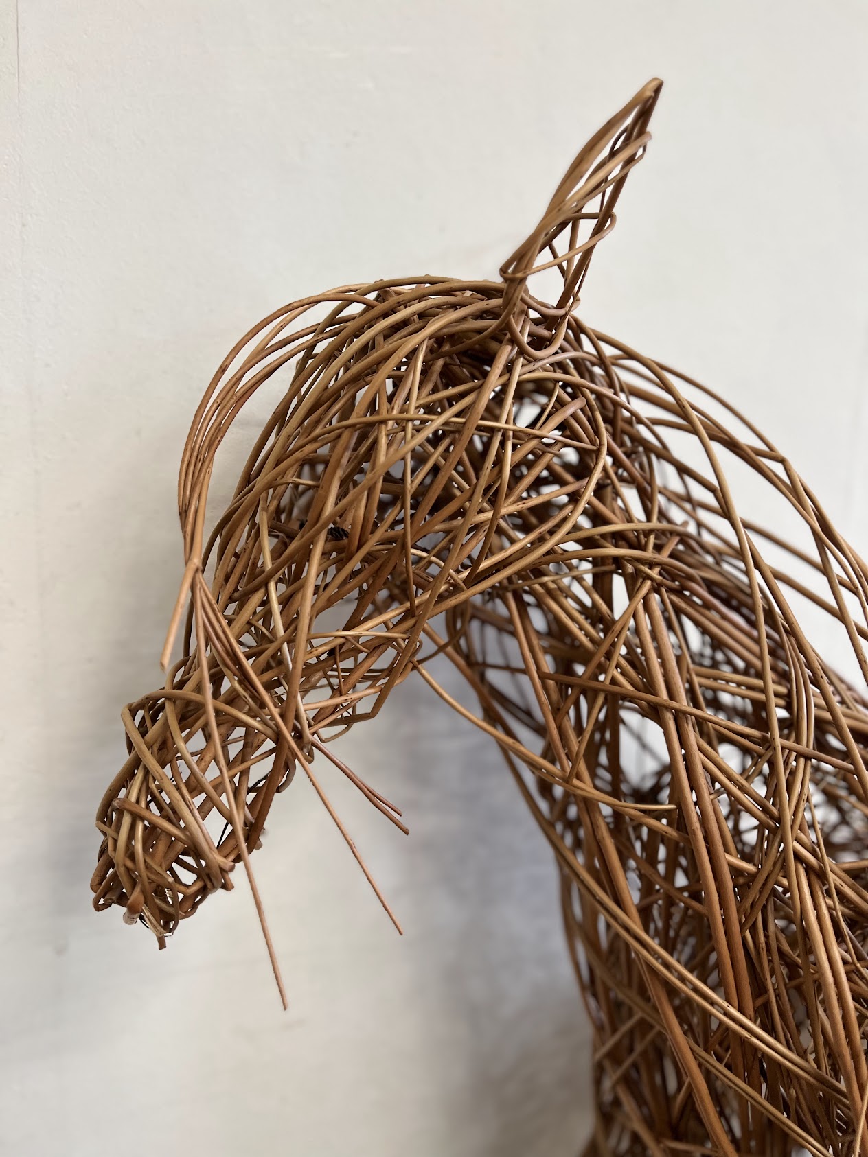 willow horse 2