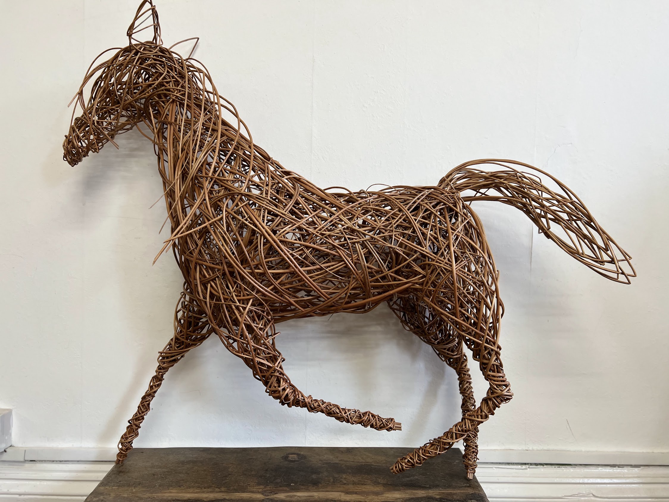 willow horse